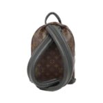 Louis_Vuitton_Monogram_Palm_Springs_Backpack_PM_M41560_Backpack_2