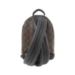 Louis_Vuitton_Monogram_Palm_Springs_Backpack_PM_M41560_Backpack_2