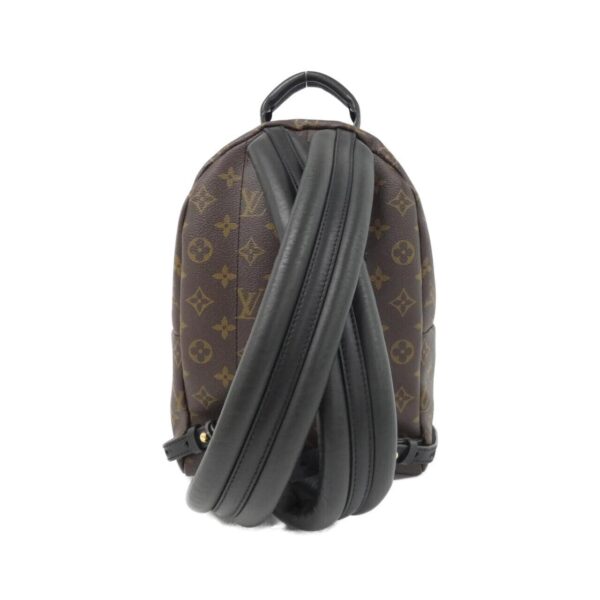 Louis_Vuitton_Monogram_Palm_Springs_Backpack_PM_M41560_Backpack_2
