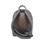 Louis_Vuitton_Monogram_Palm_Springs_Backpack_PM_M41560_Backpack_2