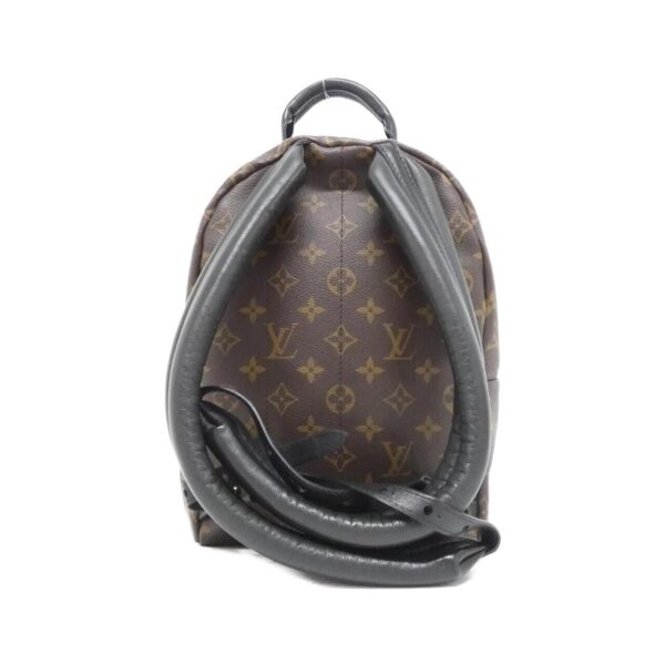 Louis_Vuitton_Monogram_Palm_Springs_Backpack_PM_M41560_Backpack_2