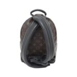 Louis_Vuitton_Monogram_Palm_Springs_Backpack_PM_M41560_Backpack_2
