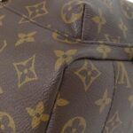 Louis_Vuitton_Monogram_Palm_Springs_Backpack_PM_M41560_Backpack_3