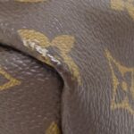 Louis_Vuitton_Monogram_Palm_Springs_Backpack_PM_M41560_Backpack_3