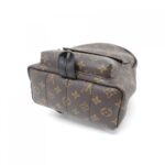 Louis_Vuitton_Monogram_Palm_Springs_Backpack_PM_M41560_Backpack_3