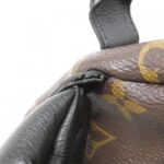 Louis_Vuitton_Monogram_Palm_Springs_Backpack_PM_M41560_Backpack_4