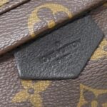 Louis_Vuitton_Monogram_Palm_Springs_Backpack_PM_M41560_Backpack_5