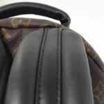 Louis_Vuitton_Monogram_Palm_Springs_Backpack_PM_M41560_Backpack_7