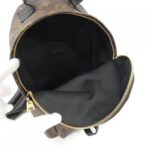 Louis_Vuitton_Monogram_Palm_Springs_Backpack_PM_M41560_Backpack_8