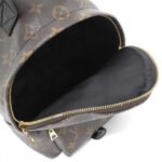 Louis_Vuitton_Monogram_Palm_Springs_Backpack_PM_M41560_Backpack_8