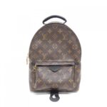 Louis_Vuitton_Monogram_Palm_Springs_Backpack_PM_M44871_Backpack_1