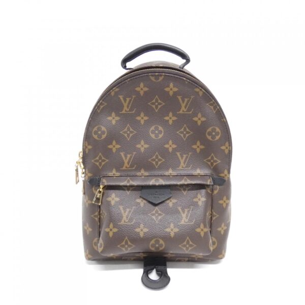 Louis_Vuitton_Monogram_Palm_Springs_Backpack_PM_M44871_Backpack_1