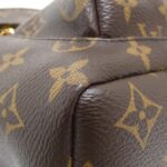Louis_Vuitton_Monogram_Palm_Springs_Backpack_PM_M44871_Backpack_3