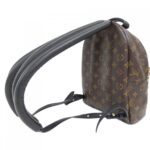 Louis_Vuitton_Monogram_Palm_Springs_Backpack_PM_M44871_Backpack_5