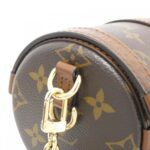 Louis_Vuitton_Monogram_Papillon_Trunk_Shoulder_Bag_M57835_6