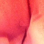 Louis_Vuitton_Monogram_Partition_M51901_Bag_8