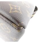 Louis_Vuitton_Monogram_Petit_Palais_PM_M45900_Bag_2