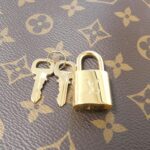 Louis_Vuitton_Monogram_Petit_Palais_PM_M45900_Bag_3