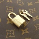 Louis_Vuitton_Monogram_Petit_Palais_PM_M45900_Bag_3