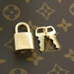 Louis_Vuitton_Monogram_Petit_Palais_PM_M45900_Bag_4