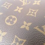 Louis_Vuitton_Monogram_Petit_Palais_PM_M45900_Bag_4