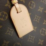 Louis_Vuitton_Monogram_Petit_Palais_PM_M45900_Bag_5