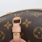 Louis_Vuitton_Monogram_Petite_Mal_Souple_M45531_Bag_6