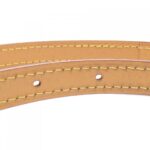 Louis_Vuitton_Monogram_Petite_Sac_Plat_M81295_Bag_4