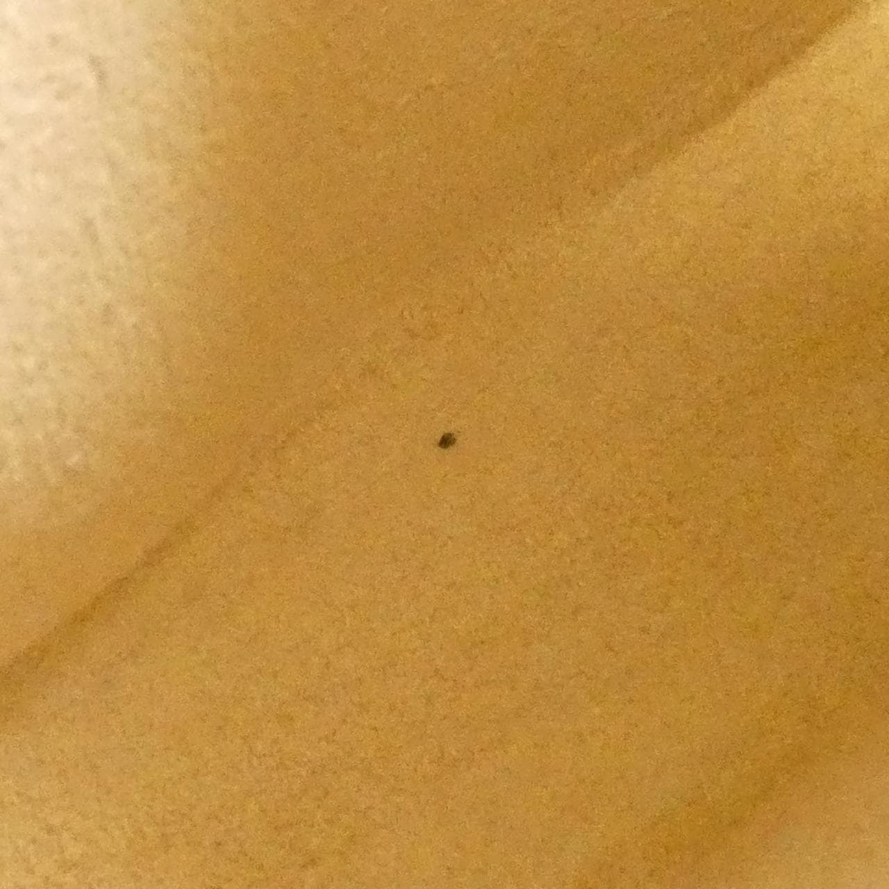 Louis_Vuitton_Monogram_Pochette_Florentine_S_M51855+M67304_Waist_Bag_10