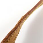 Louis_Vuitton_Monogram_Pochette_Twin_GM_M51852_Shoulder_Bag_7