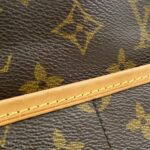 Louis_Vuitton_Monogram_Popincourt_Long_M40008_Shoulder_Bag_4