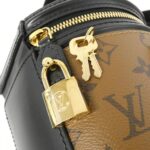 Louis_Vuitton_Monogram_Reverse_Cannes_M43986_Bag_6