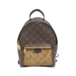 Louis_Vuitton_Monogram_Reverse_Palm_Springs_Backpack_M43116_Backpack_1