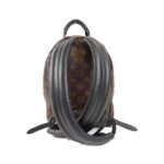 Louis_Vuitton_Monogram_Reverse_Palm_Springs_Backpack_M43116_Backpack_2