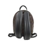 Louis_Vuitton_Monogram_Reverse_Palm_Springs_Backpack_M43116_Backpack_2