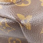 Louis_Vuitton_Monogram_Reverse_Palm_Springs_Backpack_M43116_Backpack_3