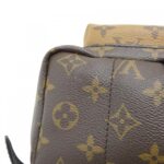 Louis_Vuitton_Monogram_Reverse_Palm_Springs_Backpack_M43116_Backpack_3