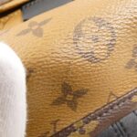 Louis_Vuitton_Monogram_Reverse_Palm_Springs_Backpack_M43116_Backpack_4