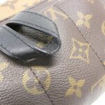 Louis_Vuitton_Monogram_Reverse_Palm_Springs_Backpack_M43116_Backpack_4