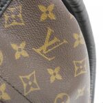 Louis_Vuitton_Monogram_Reverse_Palm_Springs_Backpack_M43116_Backpack_5