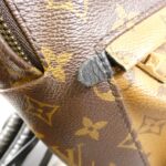 Louis_Vuitton_Monogram_Reverse_Palm_Springs_Backpack_M43116_Backpack_6
