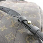 Louis_Vuitton_Monogram_Reverse_Palm_Springs_Backpack_M43116_Backpack_6