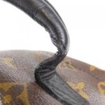 Louis_Vuitton_Monogram_Reverse_Palm_Springs_Backpack_M43116_Backpack_7