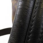 Louis_Vuitton_Monogram_Reverse_Palm_Springs_Backpack_M43116_Backpack_8