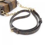 Louis_Vuitton_Monogram_Reverse_Pochette_Trunk_Vertical_M67873_Bag_6