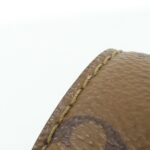 Louis_Vuitton_Monogram_Reverse_Tilsitt_M46548_Bag_8