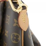 Louis_Vuitton_Monogram_Ribera_PM_M44543_Bag_6