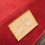 Louis_Vuitton_Monogram_Tambourin_M51179_Shoulder_Bag_7