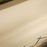 Louis_Vuitton_Monogram_Vanity_Case_M46758_Bag_6