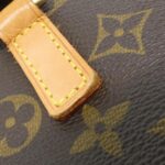 Louis_Vuitton_Monogram_Vavin_PM_M51172_Bag_4
